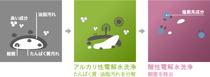 W効果の電解水 図解